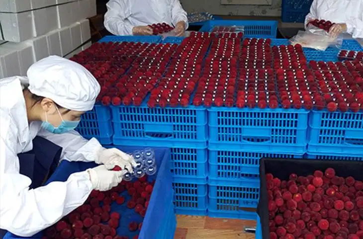 楊梅冷庫造價(jià)(圖1)