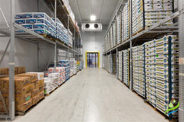 安裝一個(gè)100平方紅酒恒溫冷庫造價(jià)多少錢？