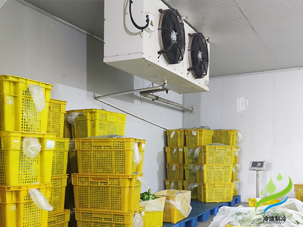 建造一個蘑菇專用保鮮冷庫需要多少錢(圖2)