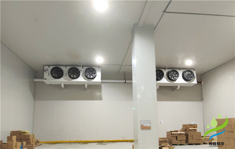 青菜保鮮冷庫的造價儲存溫度,又如何能長久儲存?(圖2) 冷庫